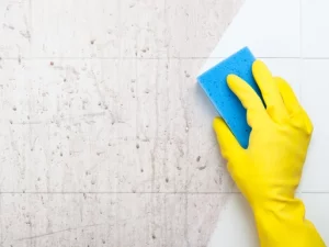 Bathroom Cleaner Formulations